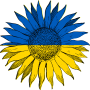 Awatar użytkownika